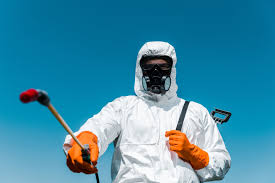 Best Organic or Eco-Friendly Pest Control  in Donna, TX